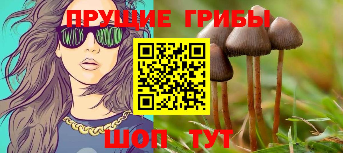 Псилоцибиновые грибы Psilocybine cubensis  Галлюциногенные грибы прущие грибы  Вход с VPN  Фрязино 