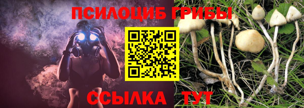 Галлюциногенные грибы мухоморы Фрязино